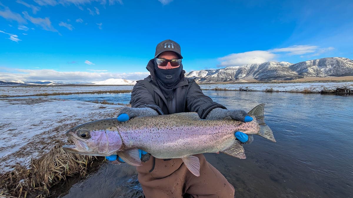 A smiling fly fisherman holding a larger rainbow trout on the Upper Owens River near Mammoth Lakes, CA.