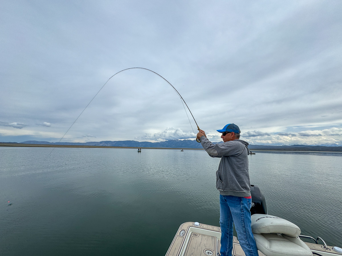 A fly fisherman hooked on to a large rainbow trout in a boat on Crowley Lake near Mammoth Lakes, CA