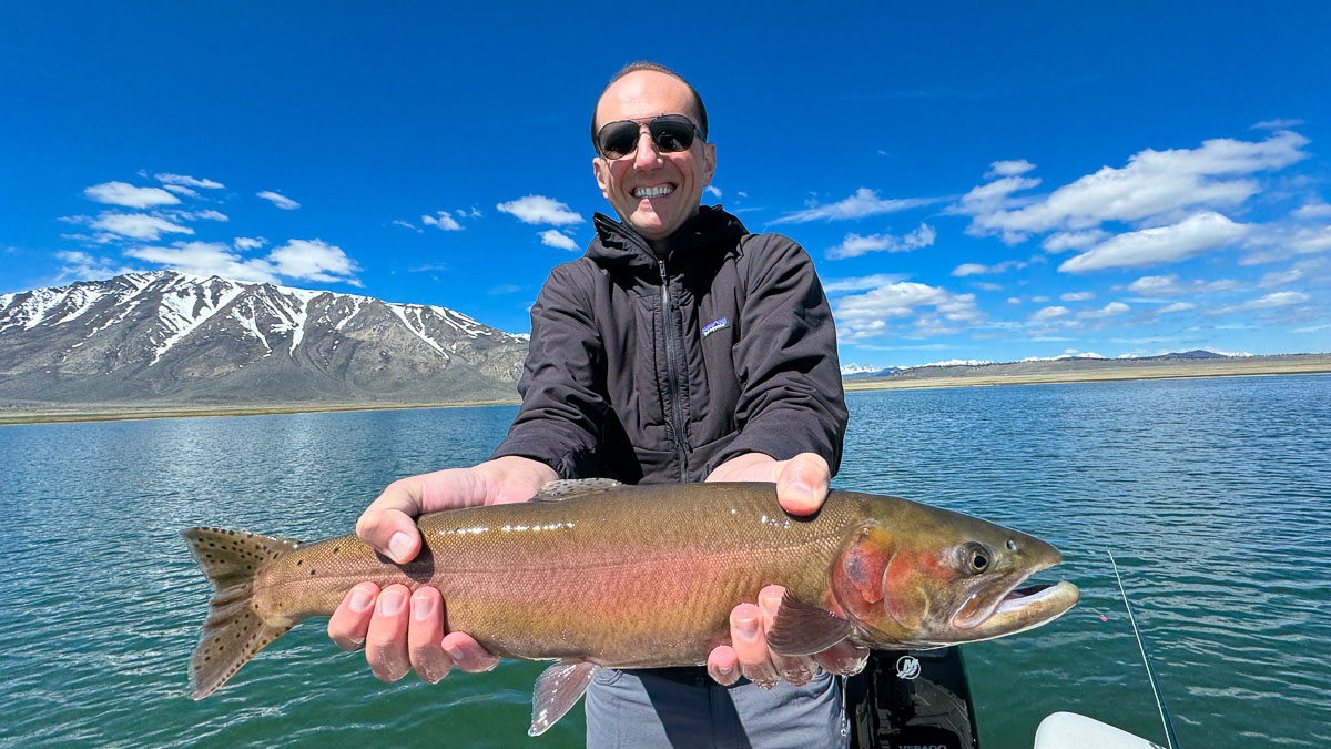 A fly fisherman holding a large cutthroat trout on Crowley Lake near Mammoth Lakes, CA