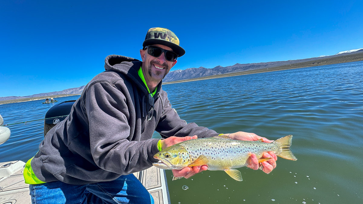 A fly fisherman holding a large brown trout on Crowley Lake near Mammoth Lakes, CA