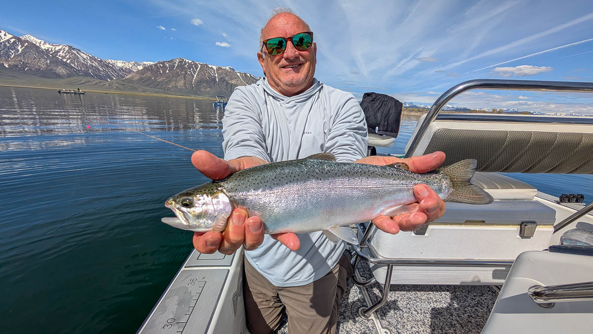 A fly fisherman holding a large rainbow trout on Crowley Lake near Mammoth Lakes, CA