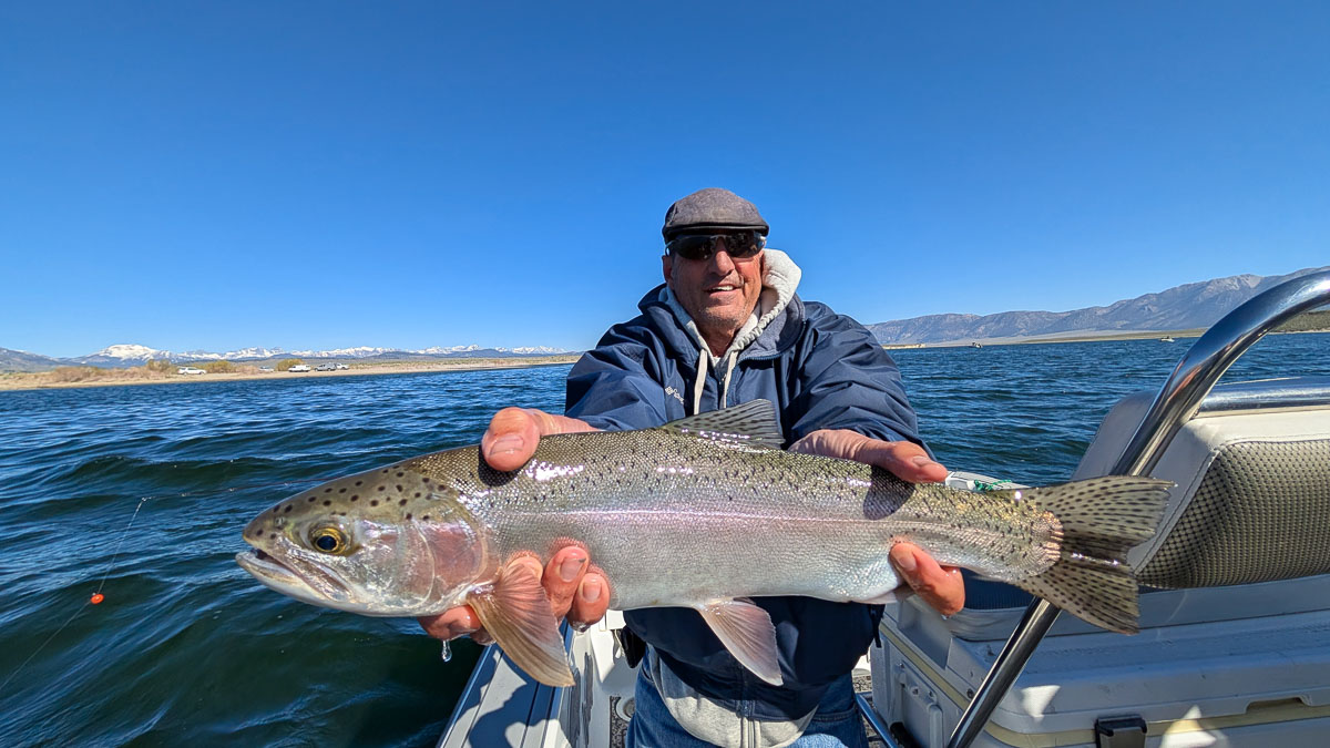 A fly fisherman holding a large rainbow trout on Crowley Lake near Mammoth Lakes, CA