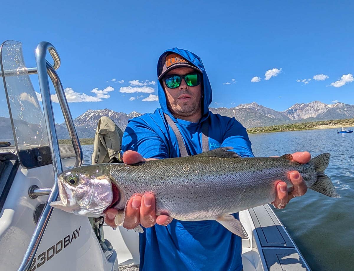 A fly fisherman holding a large rainbow trout on Crowley Lake near Mammoth Lakes, CA