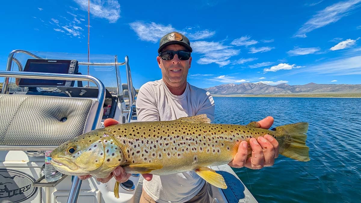 A fly fisherman holding a large brown trout on Crowley Lake near Mammoth Lakes, CA.