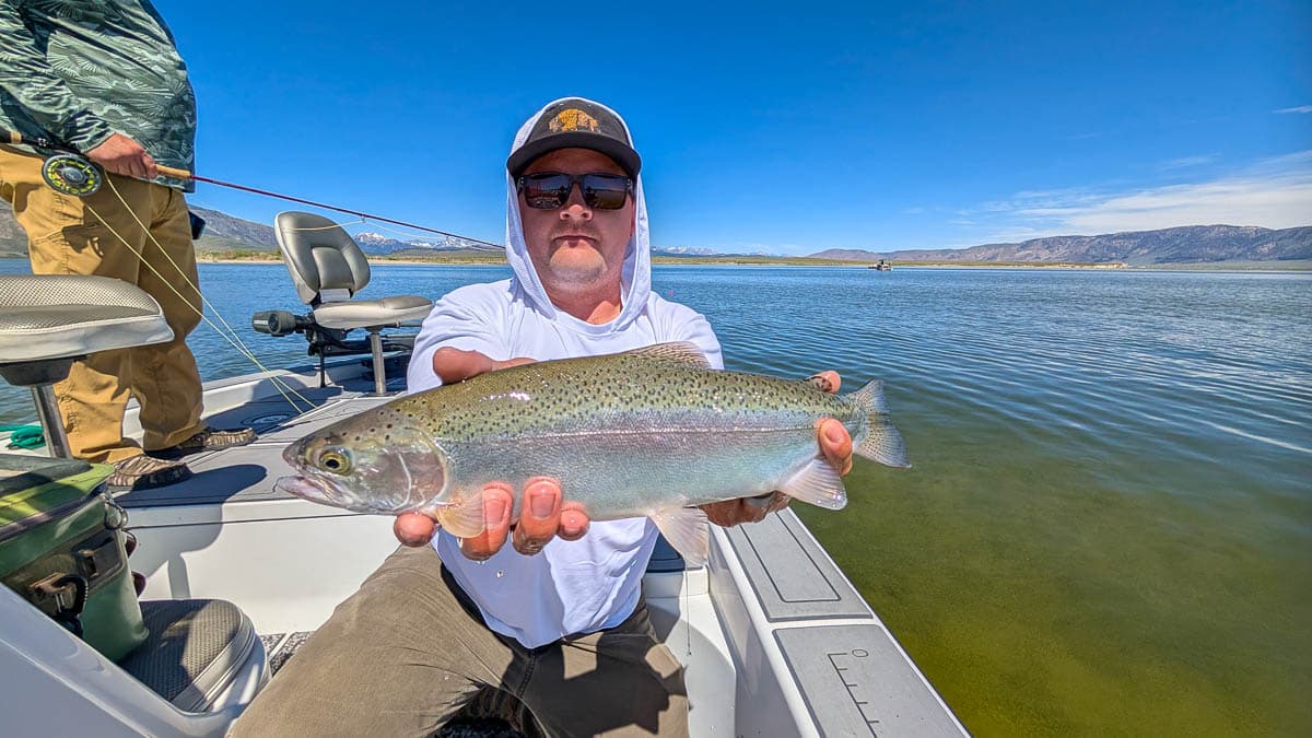 A fly fisherman holding a large rainbow trout on Crowley Lake.