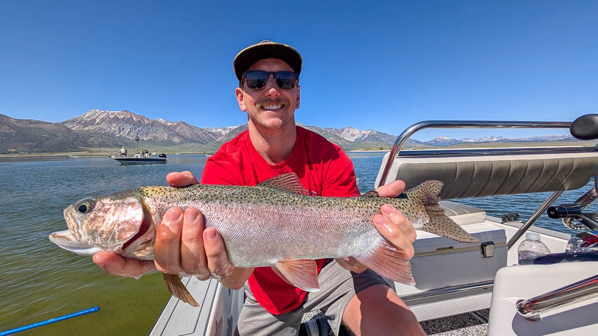 A fly fisherman holding a large rainbow trout on Crowley Lake near Mammoth Lakes, CA