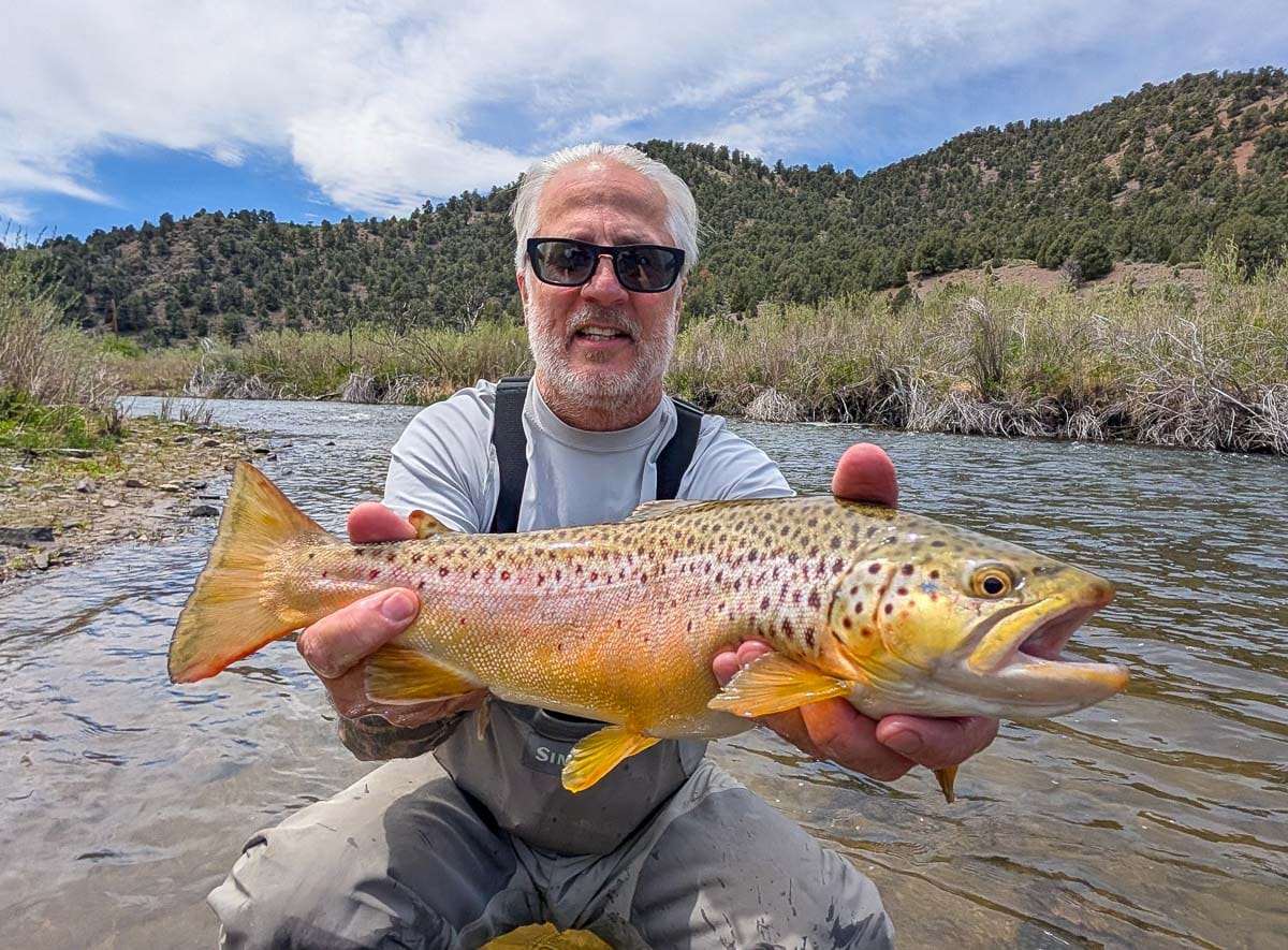 A fly fisherman holding a large brown trout on the East Walker River.