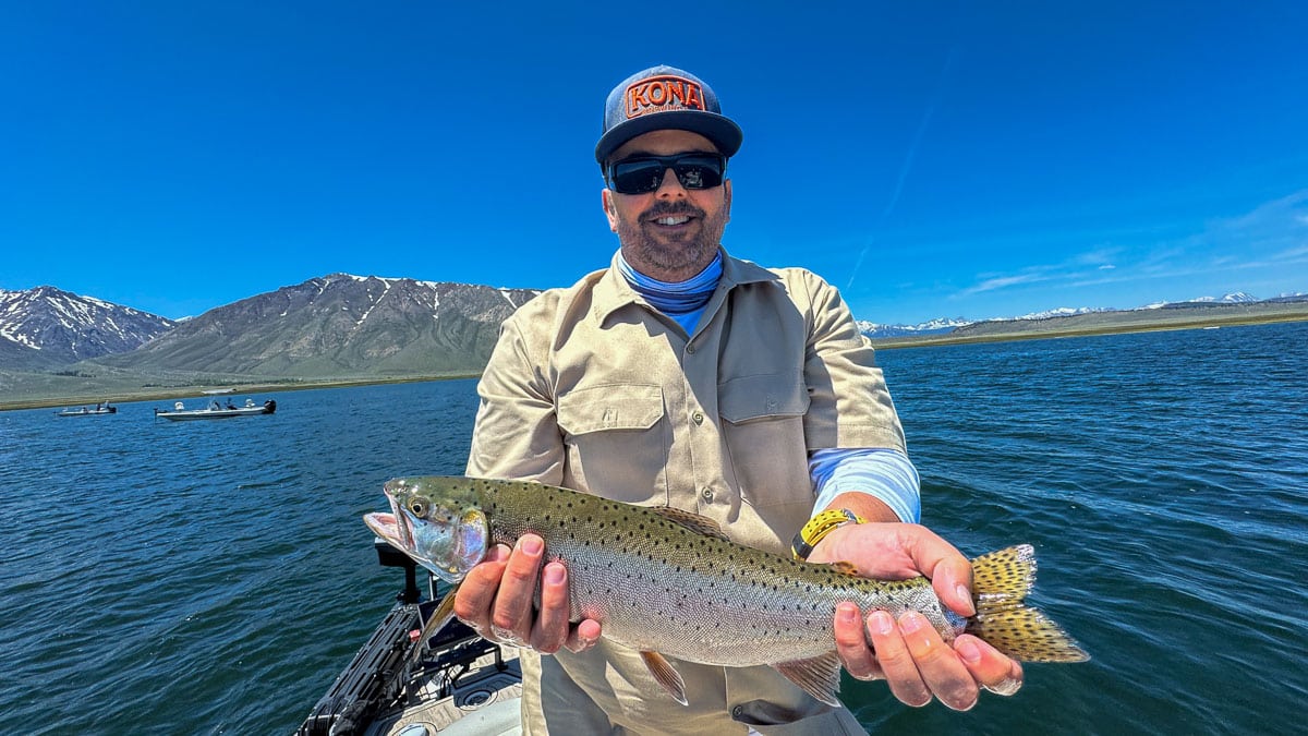 A fly fisherman holding a large rainbow trout on Crowley Lake near Mammoth Lakes, CA