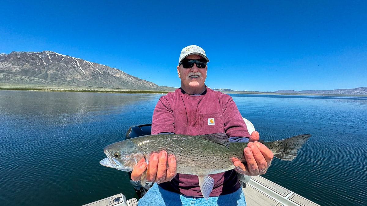 A fly fisherman holding a large brown trout on Crowley Lake near Mammoth Lakes, CA