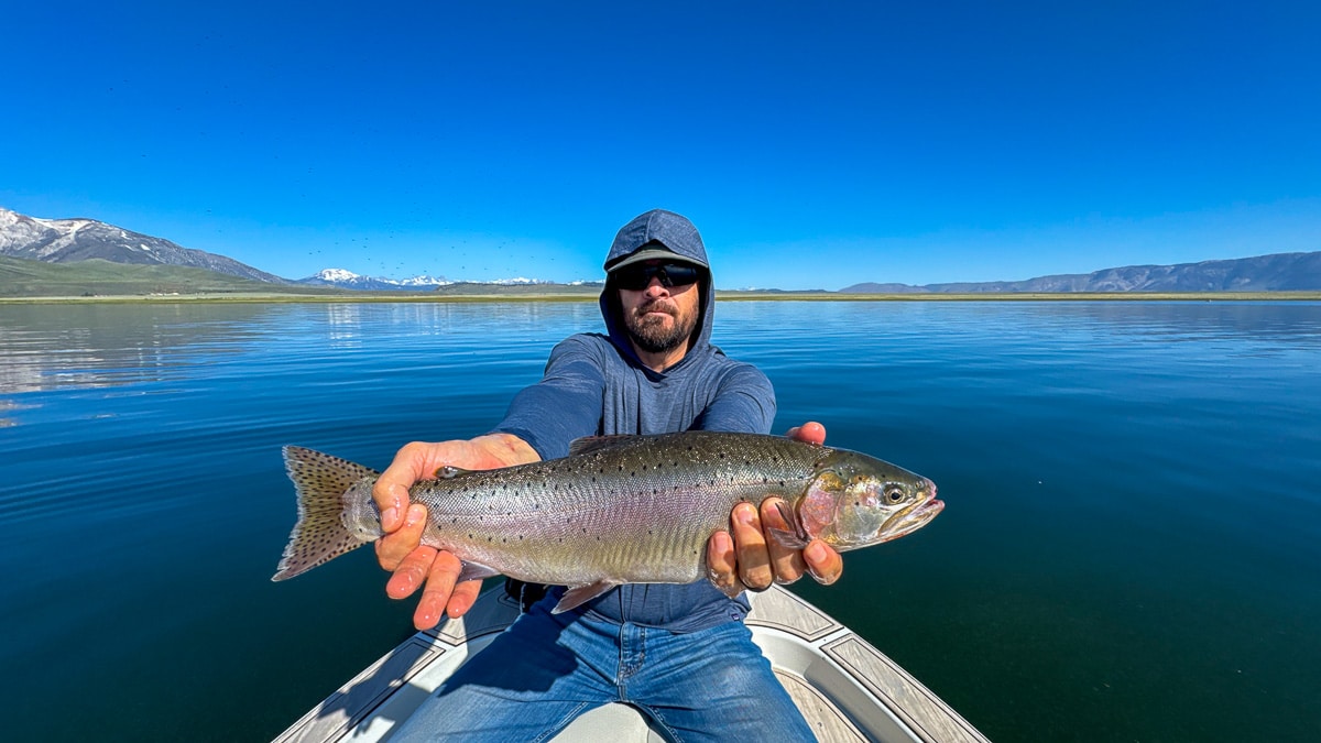 A fly fisherman holding a large rainbow trout on Crowley Lake near Mammoth Lakes, CA