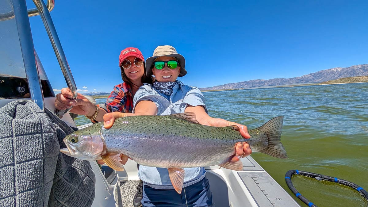 A fly fisherman holding a large rainbow trout on Crowley Lake near Mammoth Lakes, CA