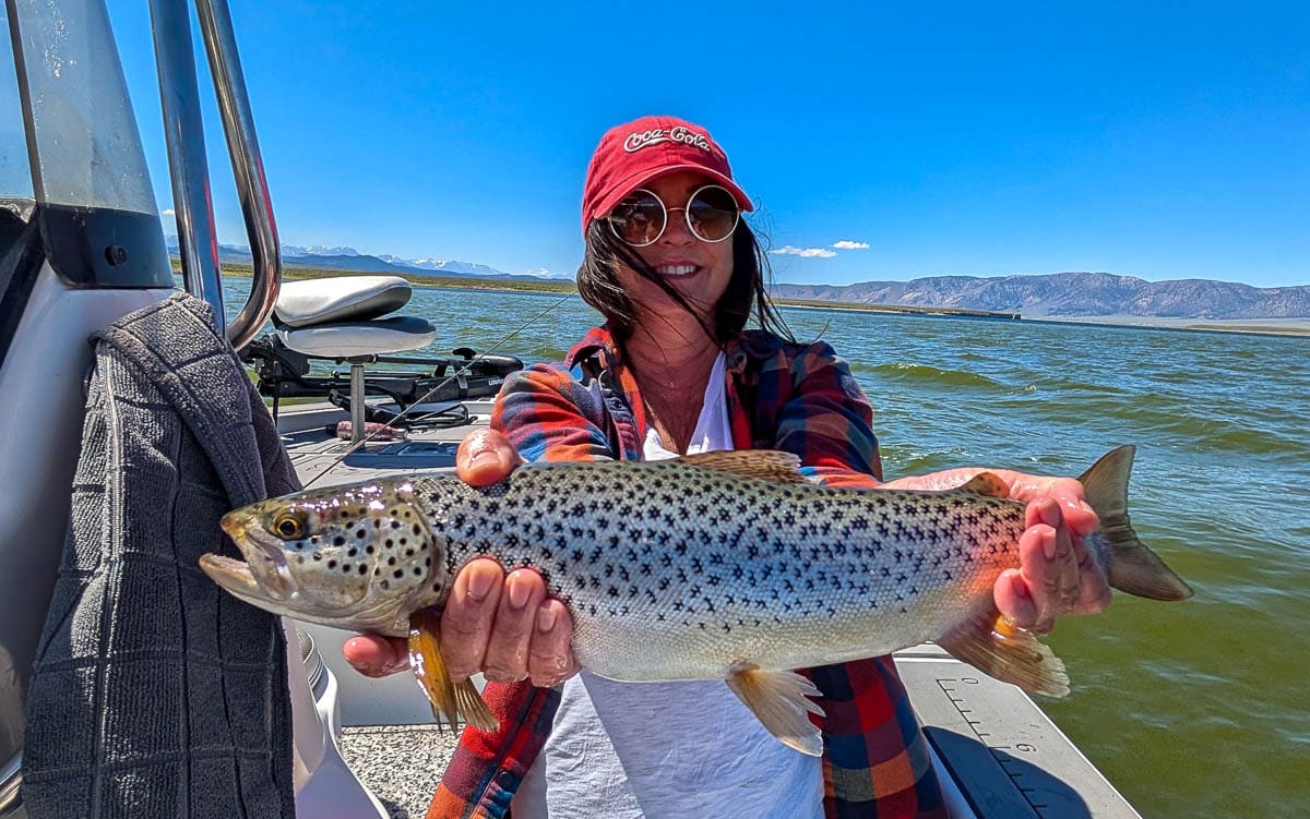 A female fly fisherman holding a large brown trout on Crowley Lake near Mammoth Lakes, CA
