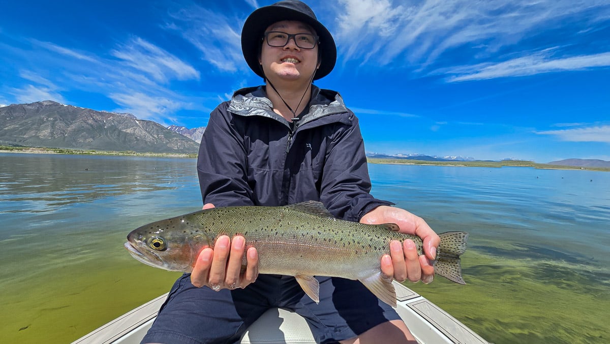 A fly fisherman holding a large rainbow trout on Crowley Lake near Mammoth Lakes, CA.