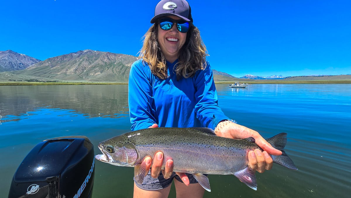 A female fly fisherman holding a large brown trout on Crowley Lake near Mammoth Lakes, CA