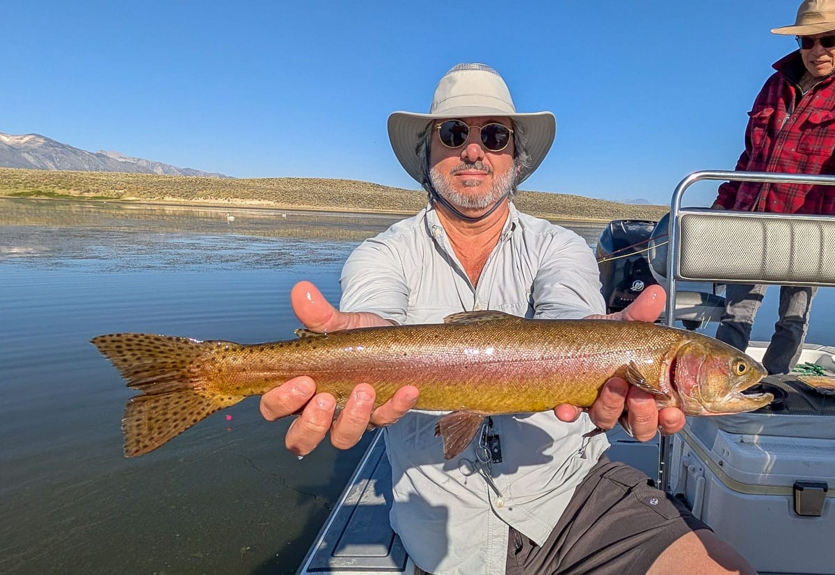 A fly fisherman holding a large rainbow trout on East Walker River near Bridgeport, CA