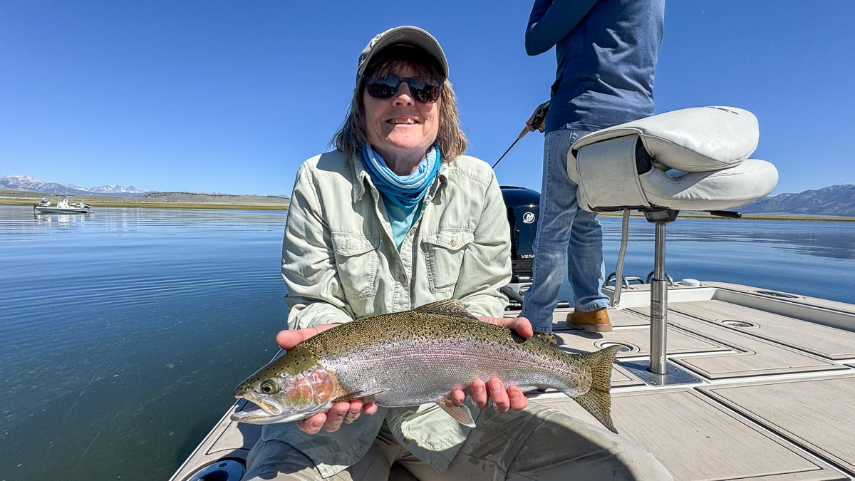 A fly fisherman holding a large rainbow trout on East Walker River near Bridgeport, CA