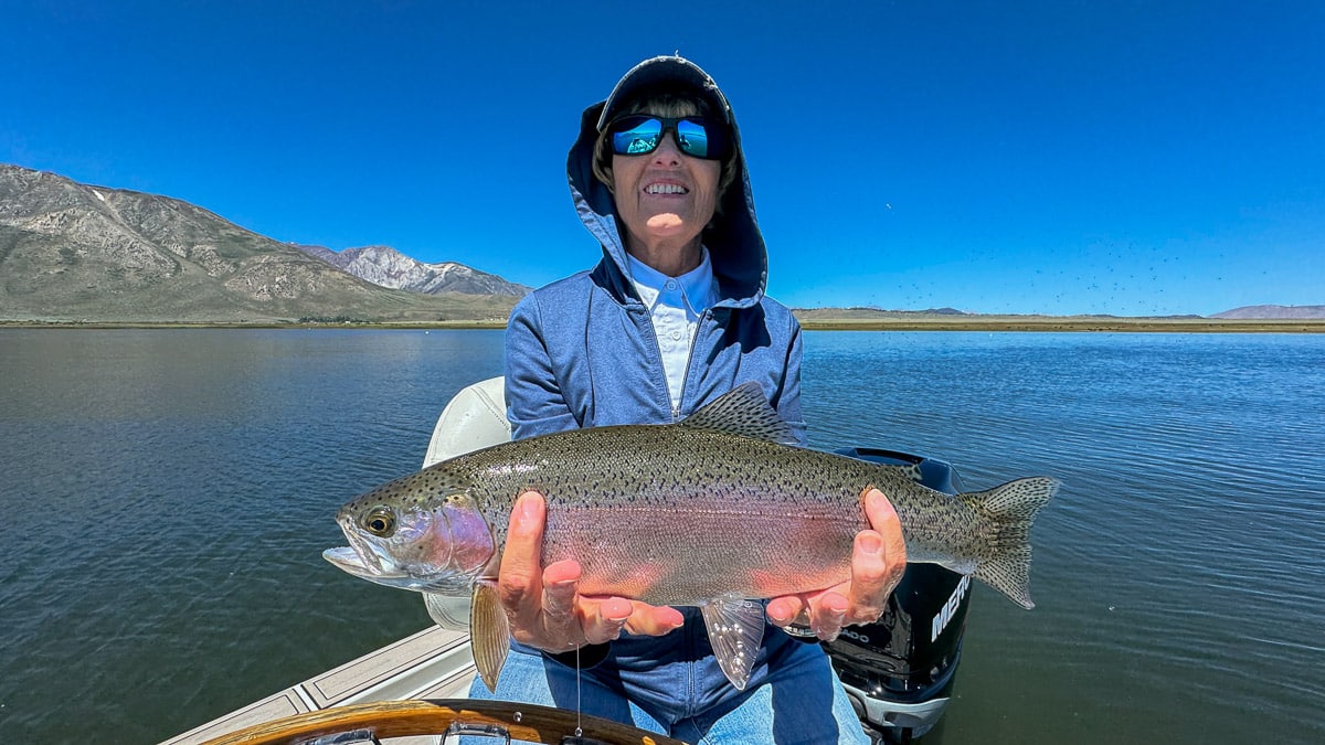 A fly fisherman holding a large rainbow trout on Crowley Lake near Mammoth Lakes, CA
