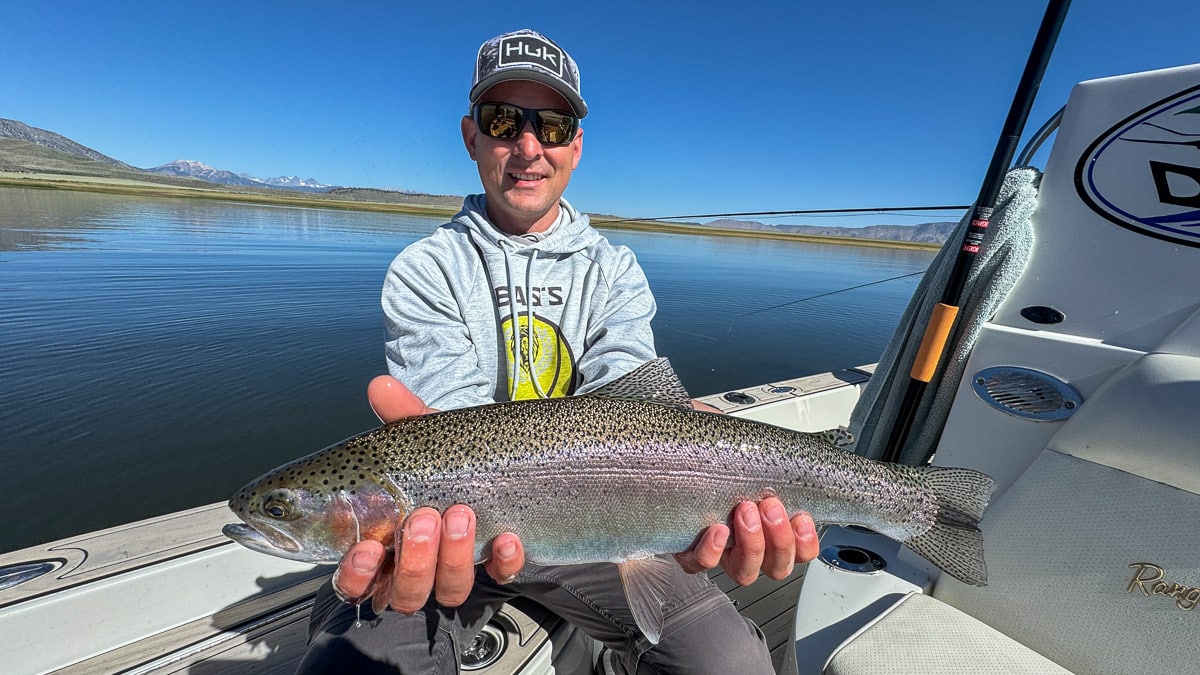 A fly fisherman holding a large rainbow trout on Crowley Lake near Mammoth Lakes, CA.