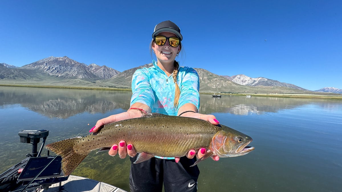 A fly fisherman holding a large rainbow trout on Crowley Lake near Mammoth Lakes, CA