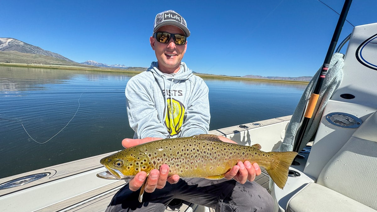 A female fly fisherman holding a large rainbow trout on Crowley Lake near Mammoth Lakes, CA