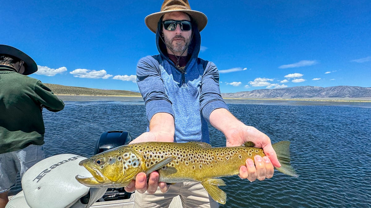 A fly fisherman holding a large brown trout on Crowley Lake near Mammoth Lakes, CA