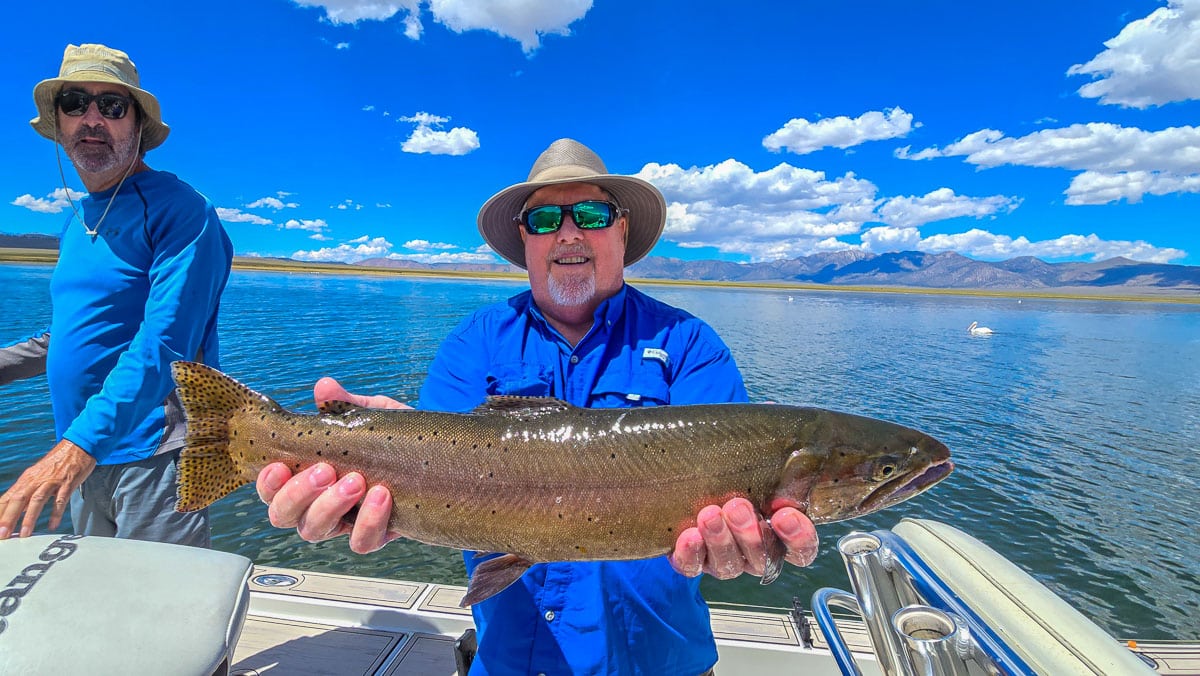 A fly fisherman holding a large cutthroat trout on Crowley Lake near Mammoth Lakes, CA