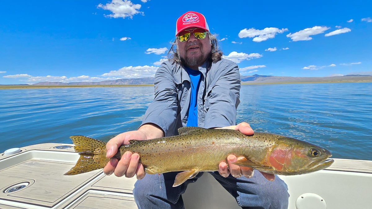 A fly fisherman holding a large rainbow trout on Crowley Lake.