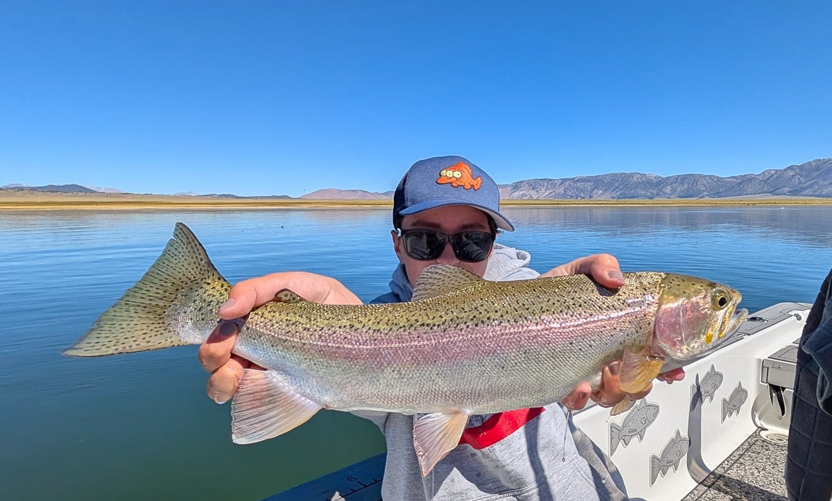 A fly fisherman holding a large cutthroat trout on Crowley Lake near Mammoth Lakes, CA