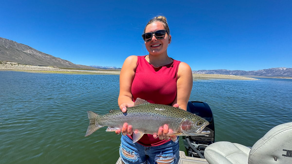 A fly fisherman holding a large rainbow trout on East Walker River near Bridgeport, CA