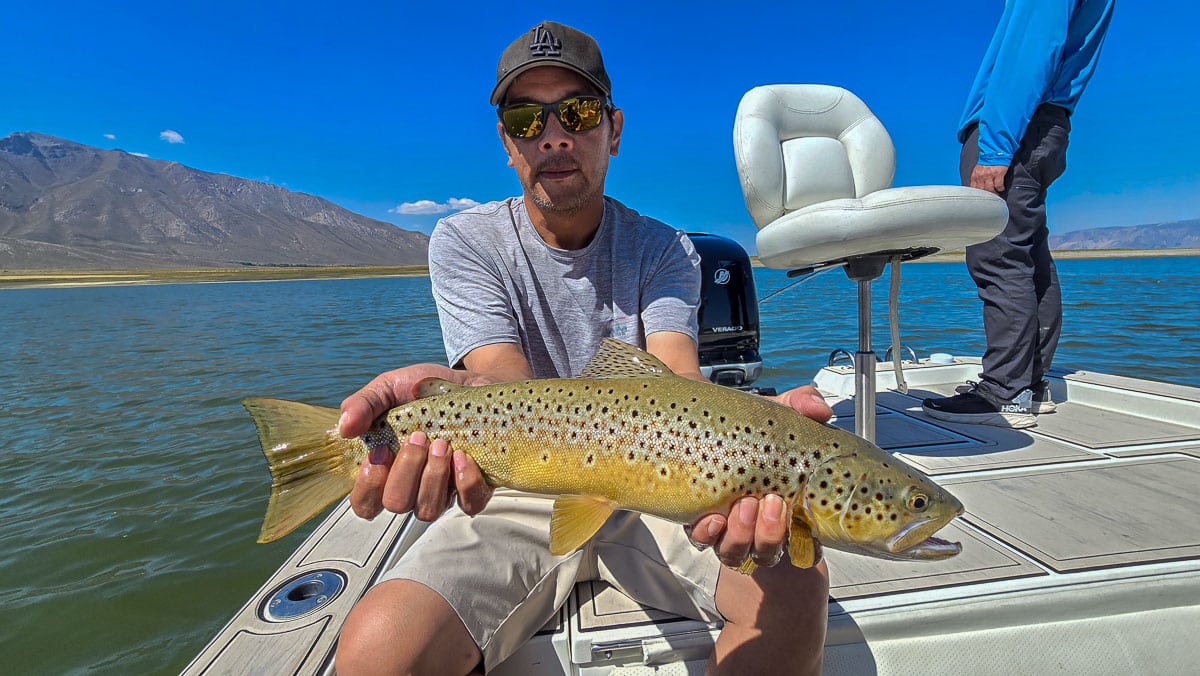A fly fisherman holding a large brown trout on Crowley Lake near Mammoth Lakes, CA