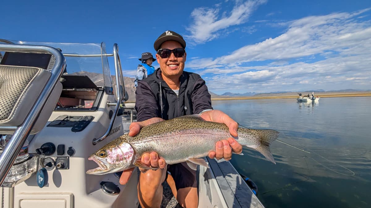 A fly fisherman holding a large rainbow trout on Crowley Lake near Mammoth Lakes, CA