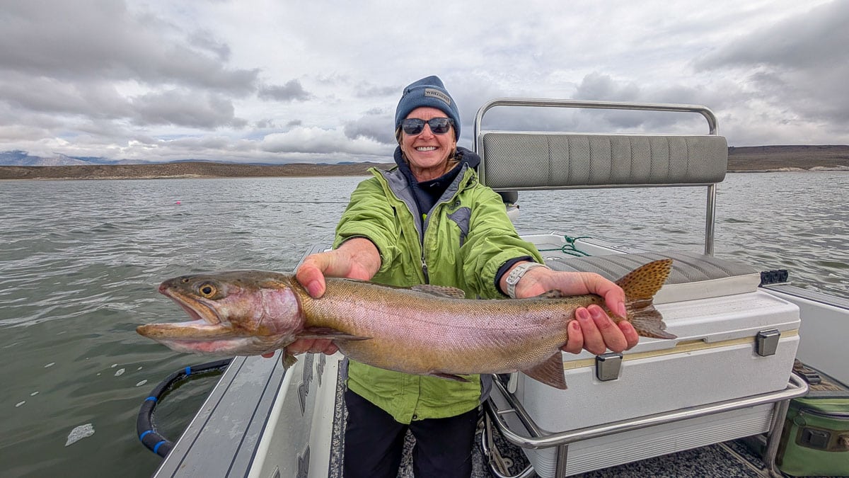 A fly fisherman holding a large rainbow trout on Crowley Lake near Mammoth Lakes, CA