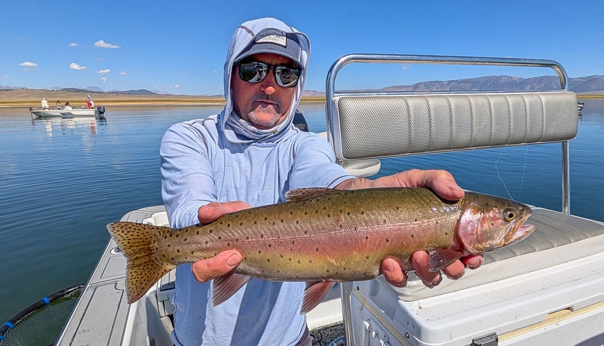 A fly fisherwoman holding a large rainbow trout on Crowley Lake near Mammoth Lakes, CA