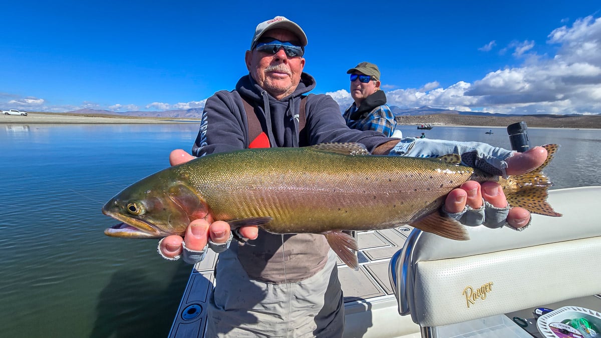A smiling fly fisherman holding a large brown trout on the Crowley Lake near Mammoth Lakes, CA.