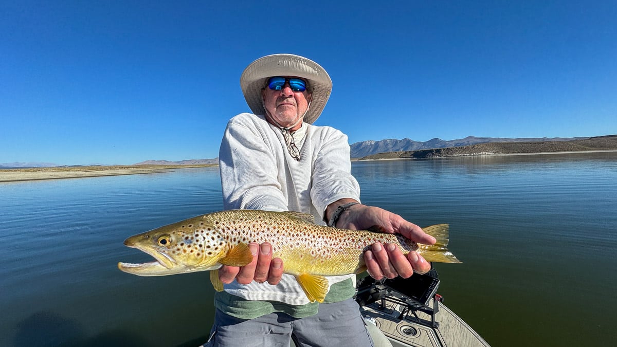 A fly fisherman holding a large brown trout on Crowley Lake near Mammoth Lakes, CA