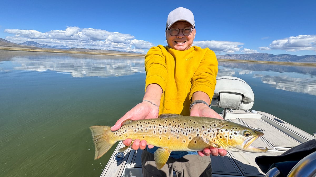 A fly fisherman holding a large brown trout on Crowley Lake near Mammoth Lakes, CA
