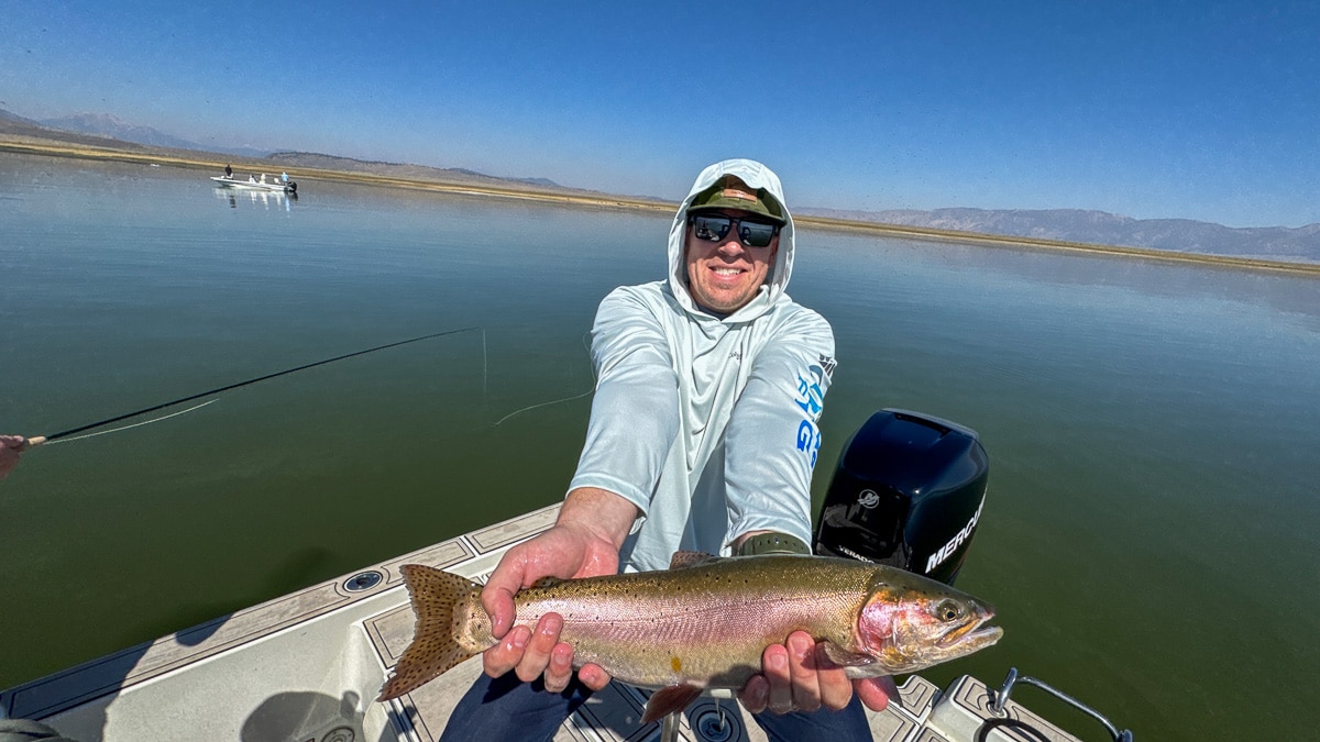 A fly fisherman holding a large rainbow trout on Crowley Lake near Mammoth Lakes, CA
