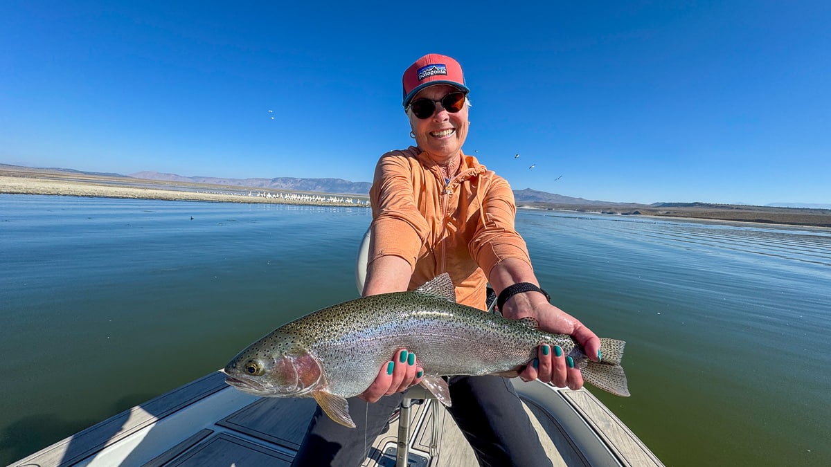 A fly fisherman holding a large brown trout on Crowley Lake near Mammoth Lakes, CA