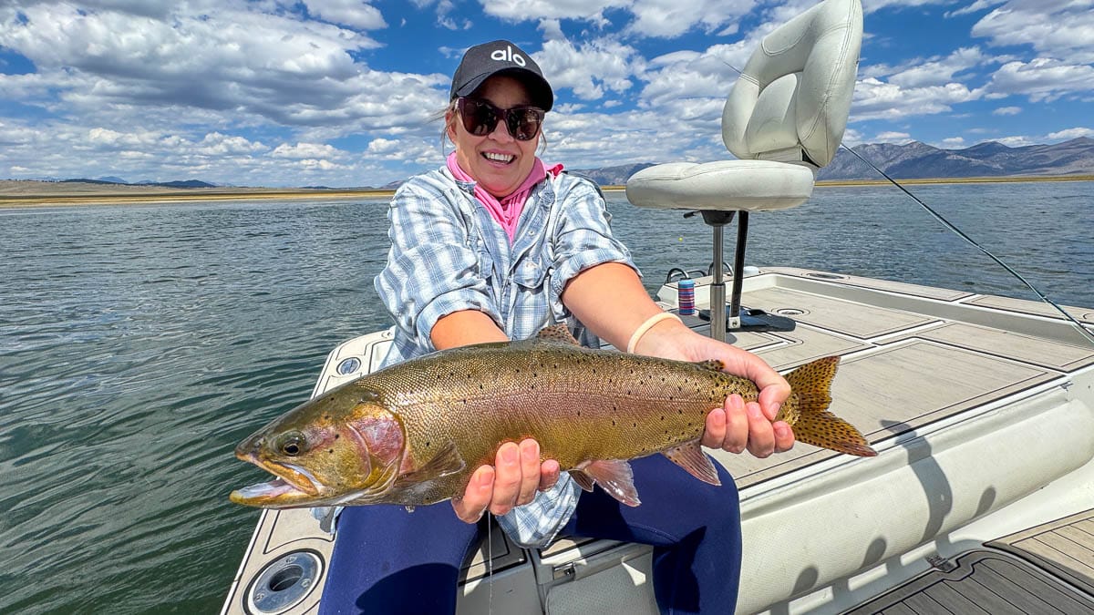 A fly fisherman holding a large rainbow trout on Crowley Lake near Mammoth Lakes, CA