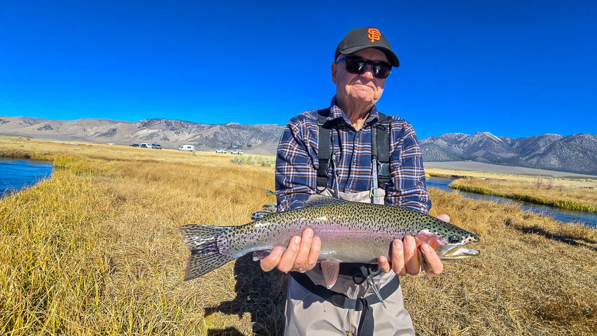 A fly fisheman holding a large rainbow trout on the Upper Owens River near Mammoth Lakes, CA