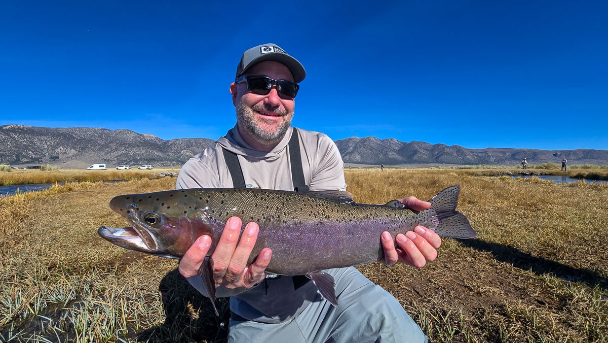 A fly fisheman holding a large rainbow trout on the Upper Owens River near Mammoth Lakes, CA