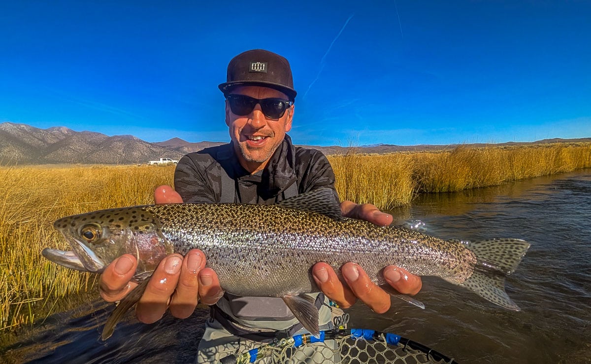 A fly fisheman holding a large rainbow trout on the Upper Owens River near Mammoth Lakes, CA