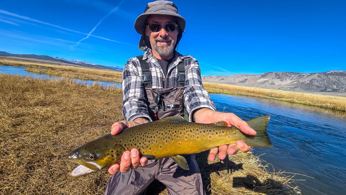 A fly fisheman holding a large brown trout on the Upper Owens River near Mammoth Lakes, CA
