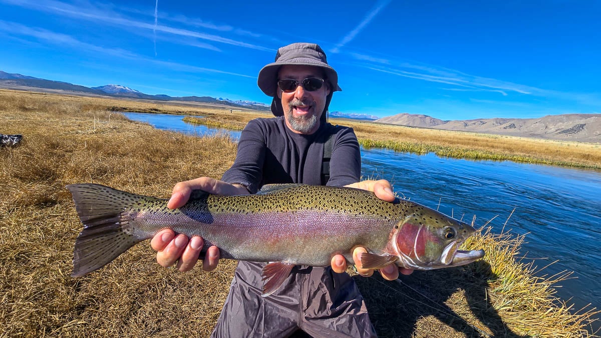 A fly fisheman holding a large rainbow trout on the Upper Owens River near Mammoth Lakes, CA