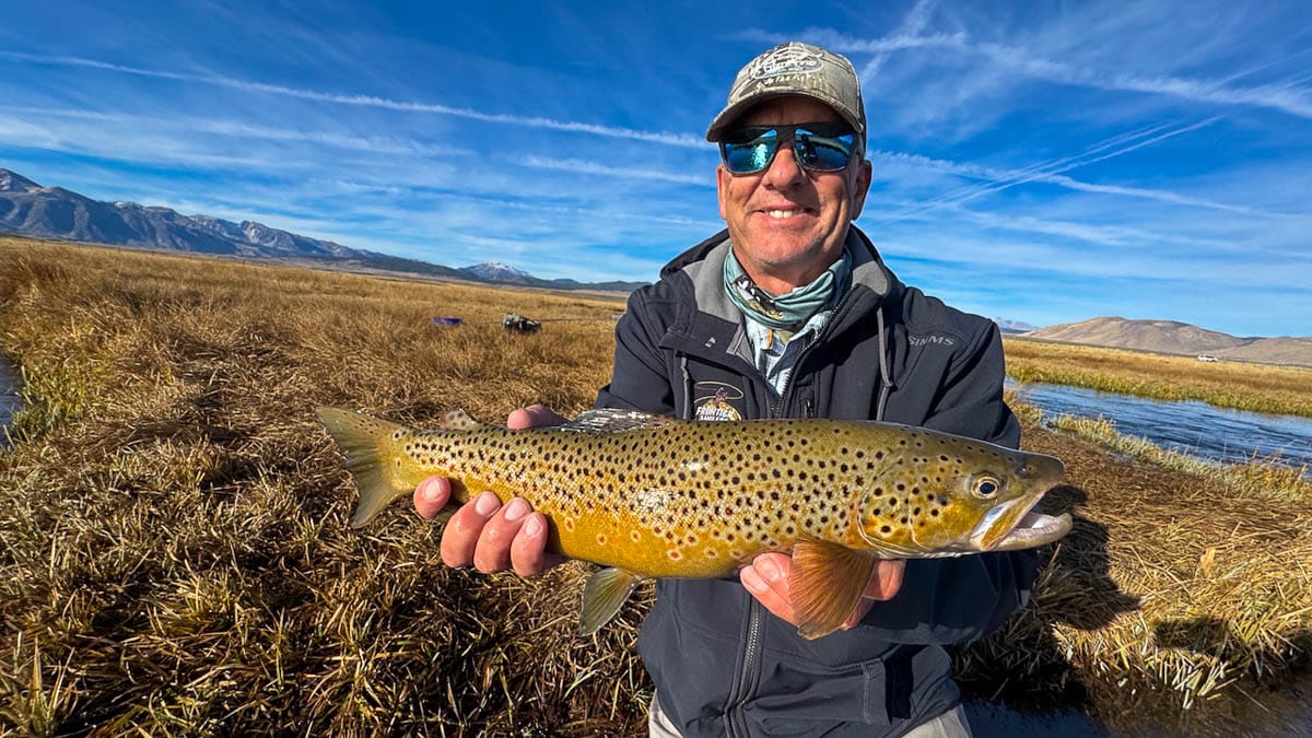 A fly fisheman holding a large brown trout on the Upper Owens River near Mammoth Lakes, CA