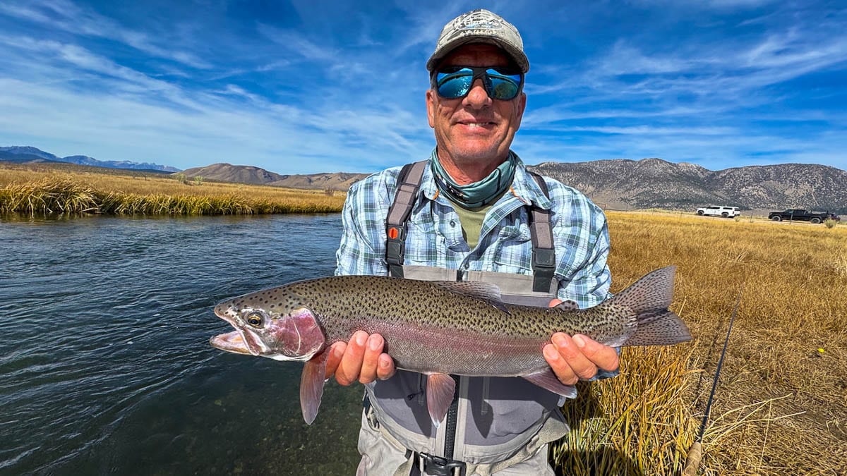 A fly fisheman holding a large rainbow trout on the Upper Owens River near Mammoth Lakes, CA