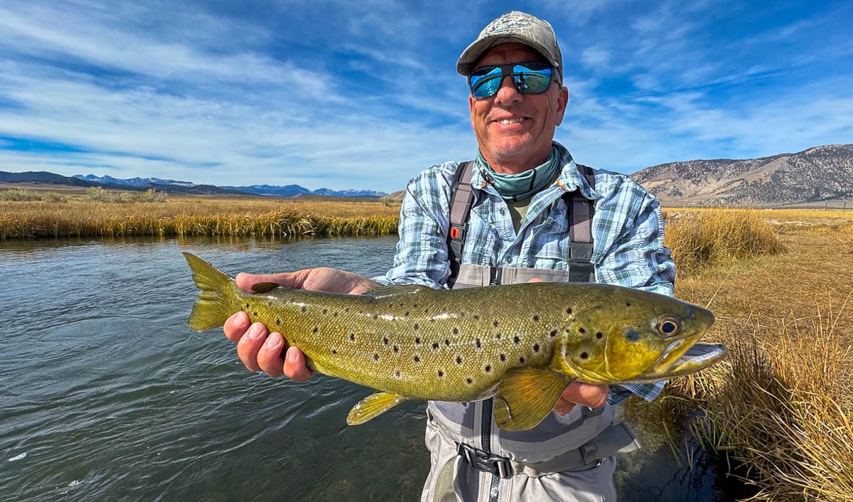A fly fisheman holding a large brown trout on the Upper Owens River near Mammoth Lakes, CA