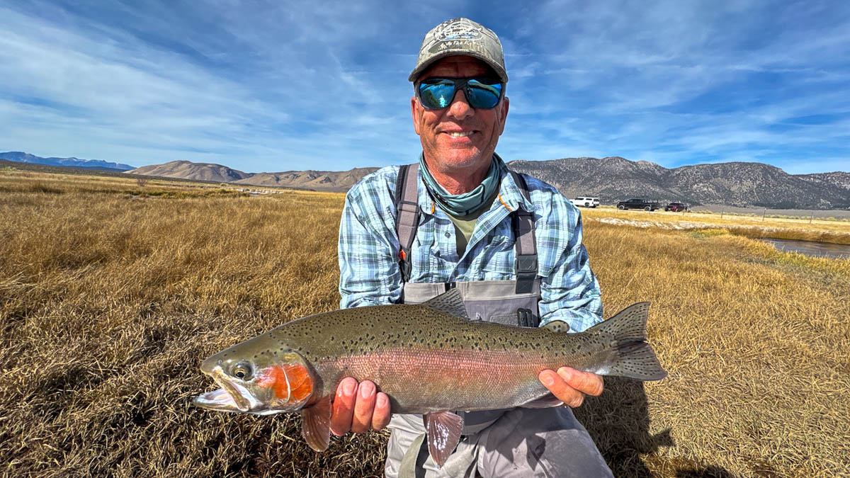 A fly fisheman holding a large rainbow trout on the Upper Owens River near Mammoth Lakes, CA