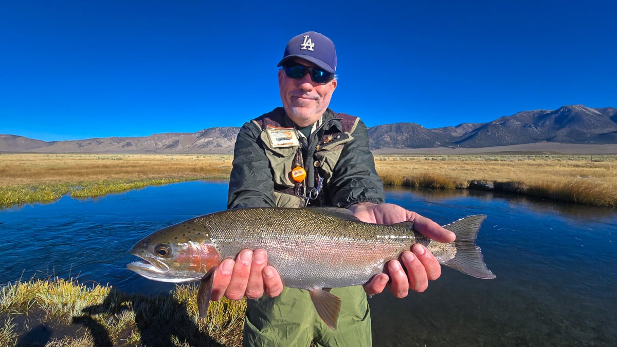 A fly fisheman holding a large rainbow trout on the Upper Owens River near Mammoth Lakes, CA