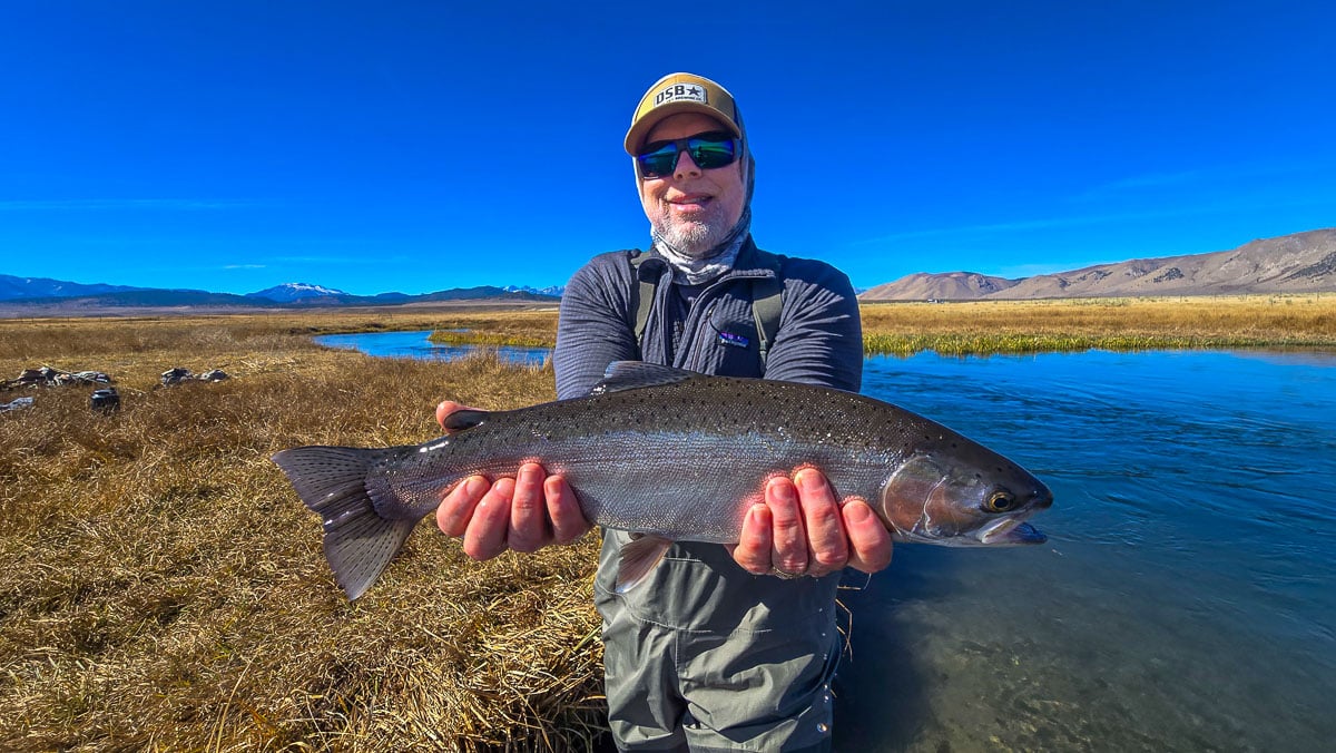 A fly fisheman holding a large rainbow trout on the Upper Owens River near Mammoth Lakes, CA